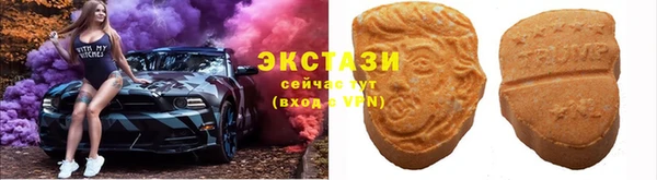 стаф Вязьма