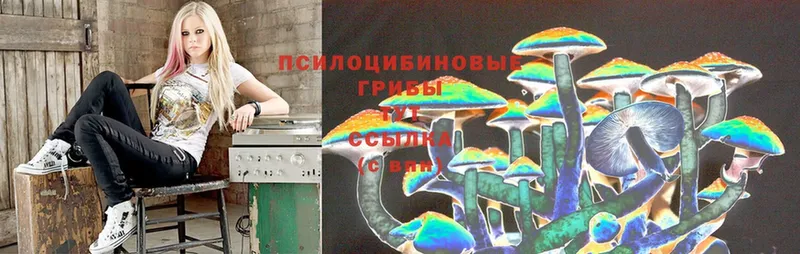 Галлюциногенные грибы Cubensis  блэк спрут ссылка  Реутов 