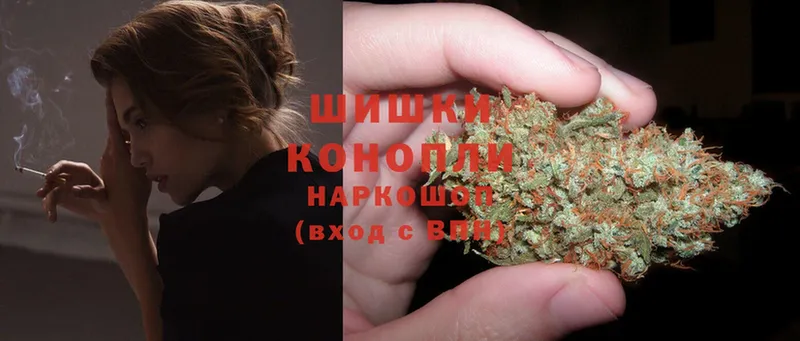 купить наркоту  Реутов  Шишки марихуана White Widow 